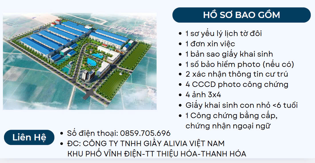 lĩnh vực hoạt động